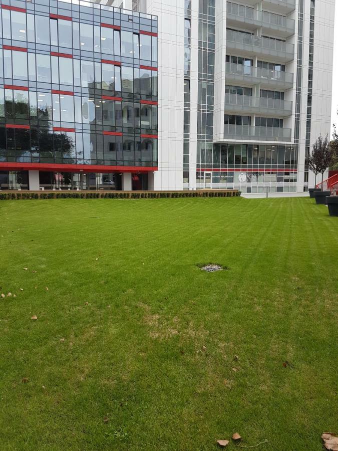 Apartament Towarowa 37 ポズナン エクステリア 写真